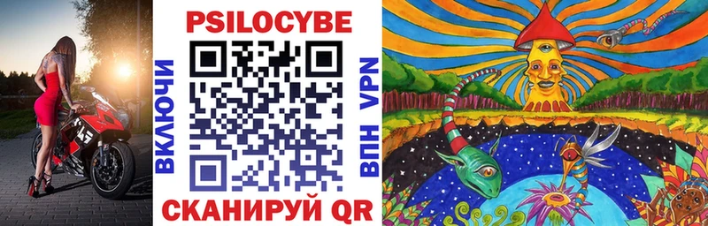 Галлюциногенные грибы Psilocybe  купить  сайты  Западная Двина 